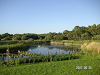s_PICT0108_thumb.png